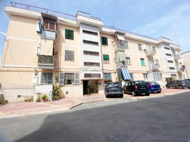 Appartamento in affitto a Pomigliano d'Arco NA