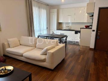Appartamento in affitto a Ponte San Pietro via Buonarroti 4, arredato, box, terrazzo TrovaCasa