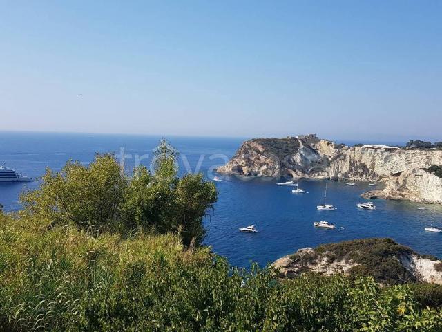 Appartamento in affitto a Ponza via Chiesa, arredato, giardino privato, terrazzo TrovaCasa