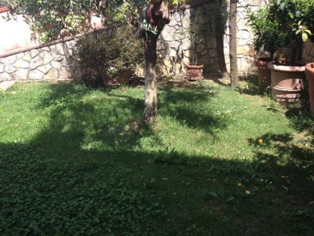 Appartamento in affitto a Prato PO