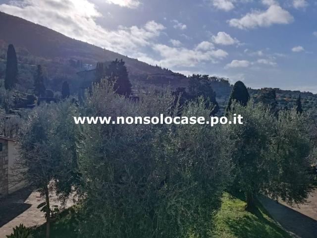 Appartamento in affitto a Prato PO