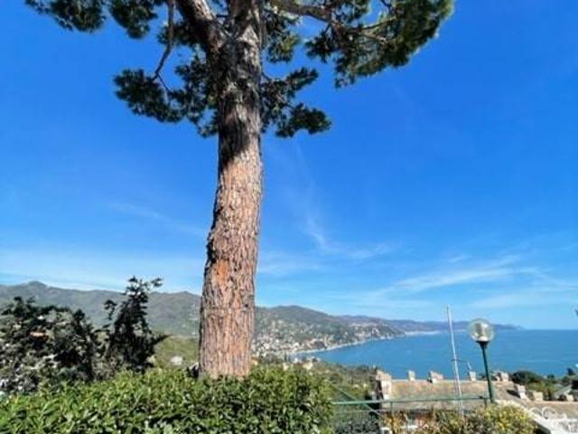 Appartamento in affitto a Rapallo GE