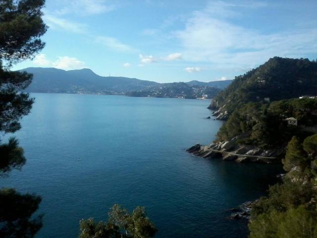 Appartamento in affitto a Rapallo GE