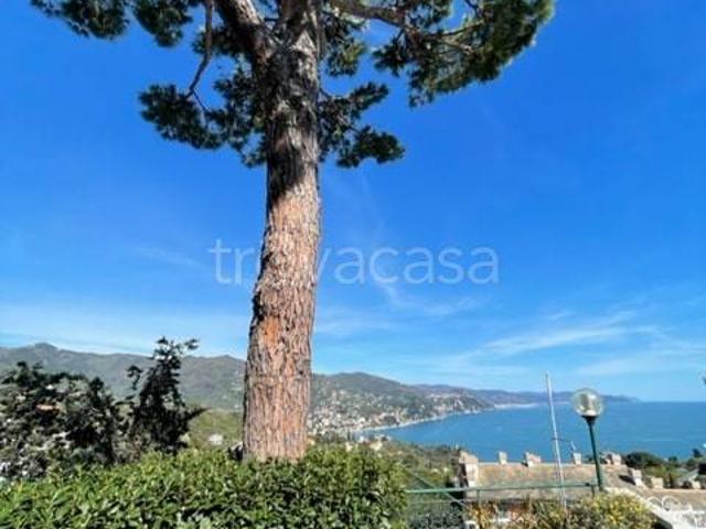 Appartamento in affitto a Rapallo via Pietrafredda, arredato, giardino privato, posto auto TrovaCasa