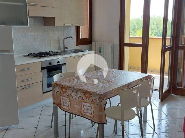 Appartamento in affitto a Reggio Emilia RE