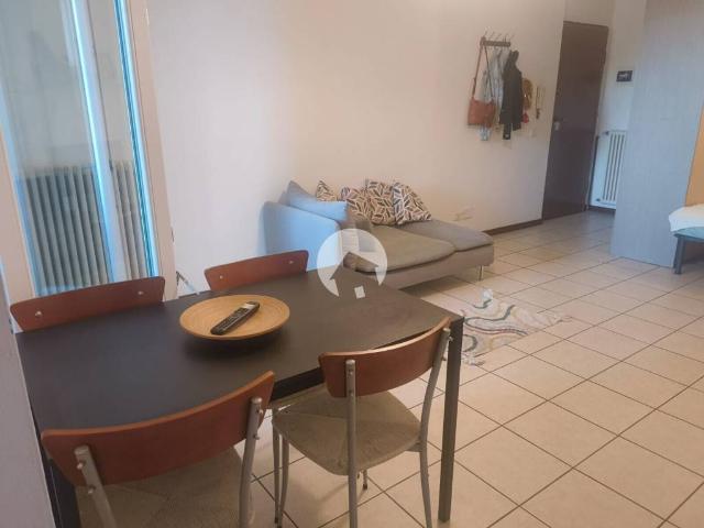 Appartamento in affitto a Reggio nell'Emilia via Ferruccio Tagliavini, arredato, giardino, terrazzo TrovaCasa