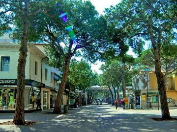 Appartamento in affitto a Riccione RN