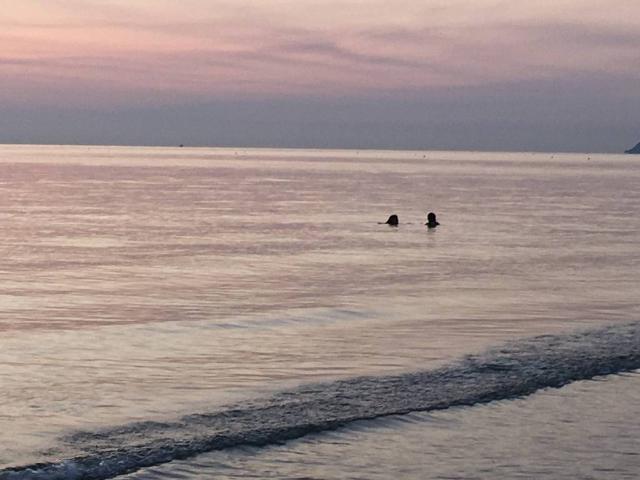 Appartamento in affitto a Riccione RN