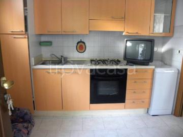 Appartamento in affitto a Riccione viale Fiume, arredato, giardino privato, lavatrice TrovaCasa