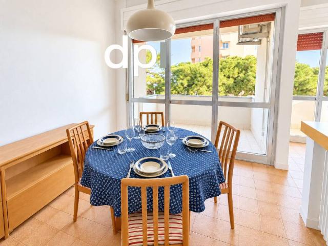 Appartamento in affitto a Rimini RN