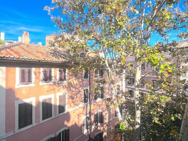 Appartamento in affitto a Roma RM