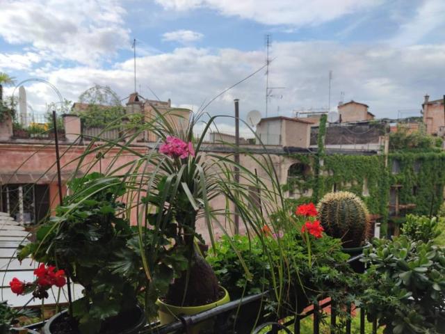 Appartamento in affitto a Roma RM