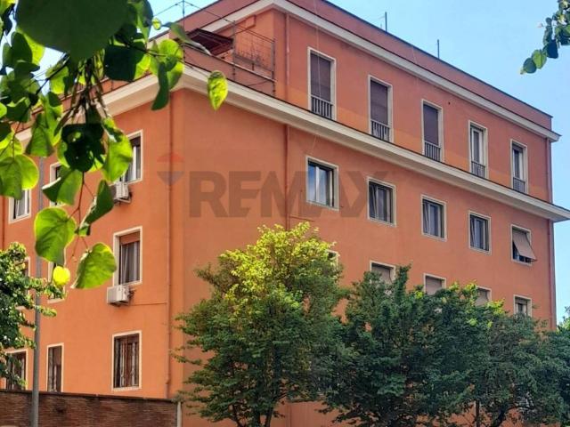 Appartamento in affitto a Roma RM