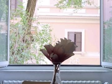 Appartamento in affitto a Roma RM