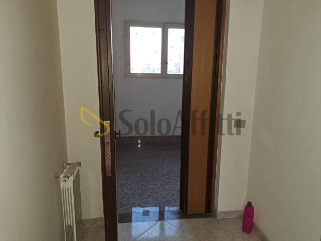 Appartamento in affitto a Roma RM
