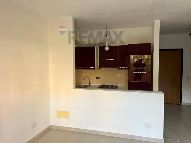 Appartamento in affitto a Roma RM