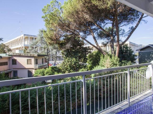 Appartamento in affitto a Roma RM