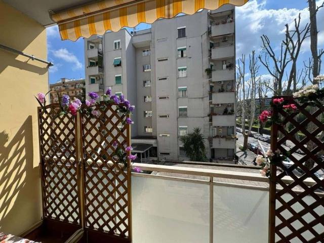 Appartamento in affitto a Roma RM