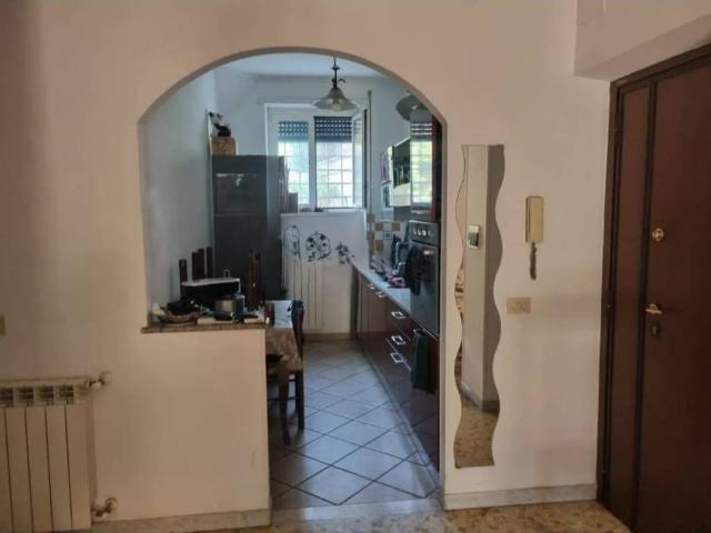 Appartamento in affitto a Roma RM