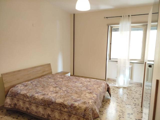 Appartamento in affitto a Roma RM
