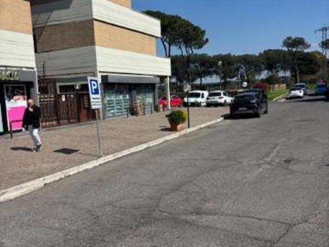 Appartamento in affitto a Roma RM