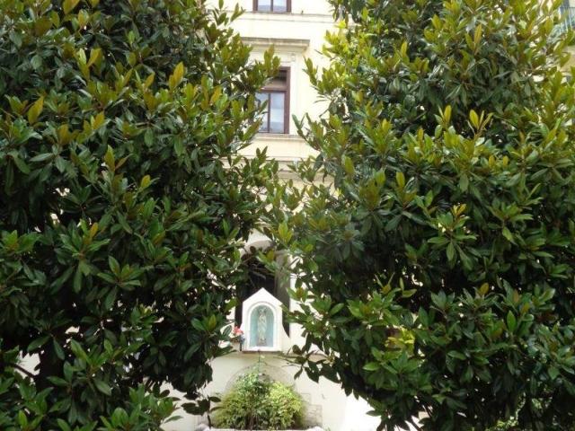 Appartamento in affitto a Roma RM