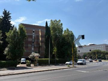 Appartamento in affitto a Roma RM