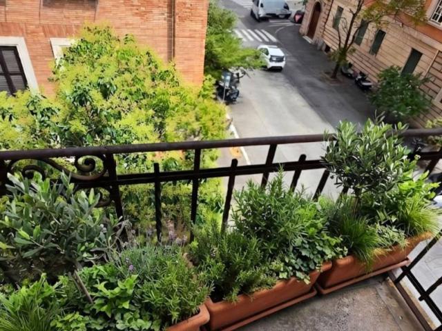 Appartamento in affitto a Roma RM