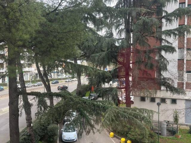 Appartamento in affitto a Roma RM