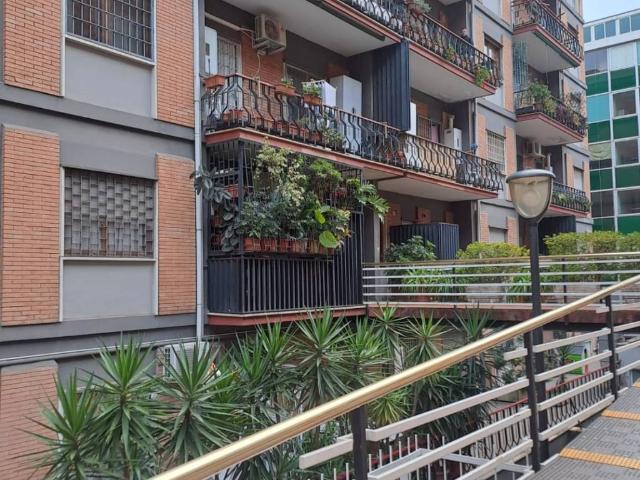 Appartamento in affitto a Roma RM