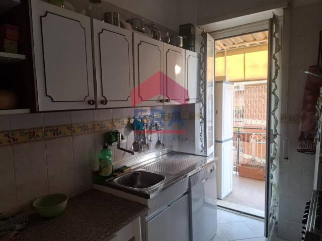 Appartamento in affitto a Roma RM