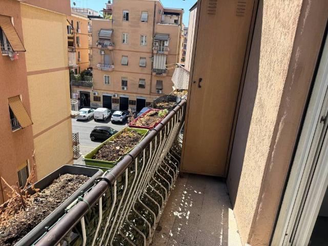 Appartamento in affitto a Roma RM