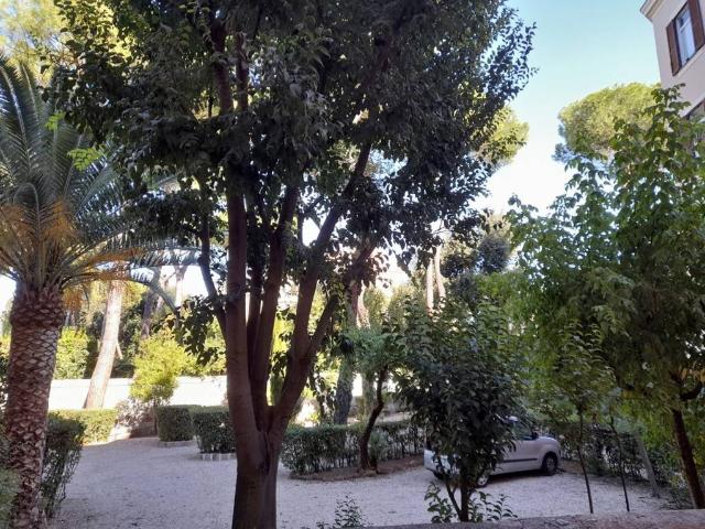 Appartamento in affitto a Roma RM