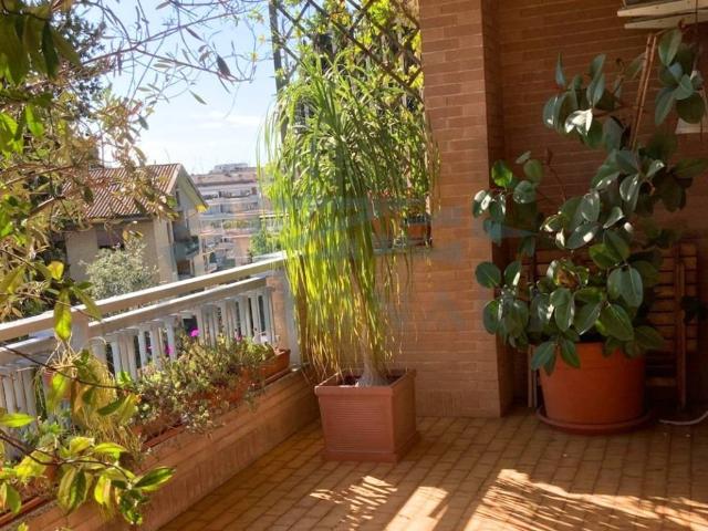 Appartamento in affitto a Roma RM