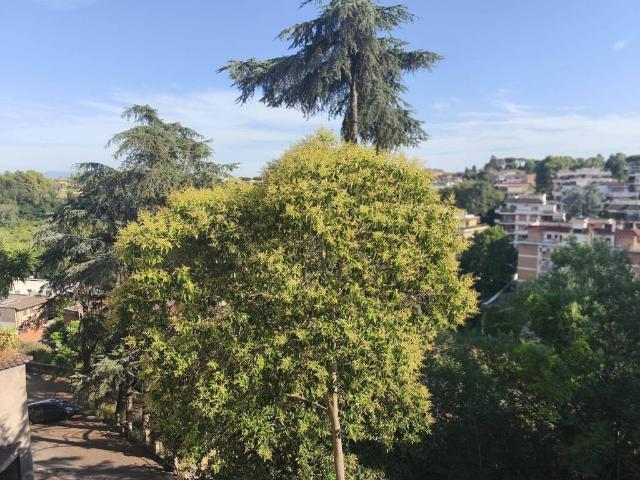Appartamento in affitto a Roma RM