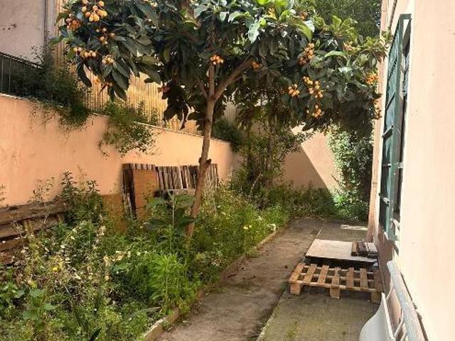 Appartamento in affitto a Roma RM