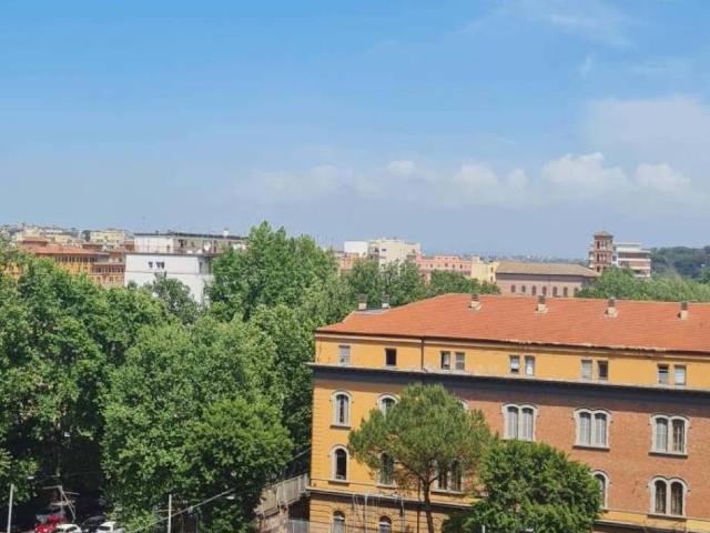Appartamento in affitto a Roma RM