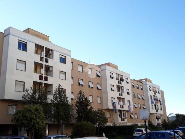 Appartamento in affitto a Roma RM