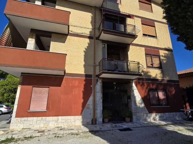 Appartamento in affitto a Roma RM
