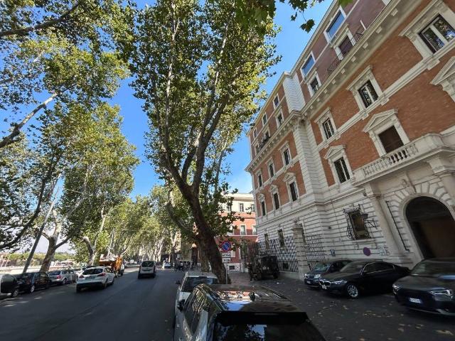 Appartamento in affitto a Roma RM