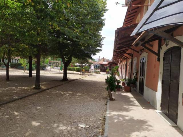 Appartamento in affitto a Roma RM