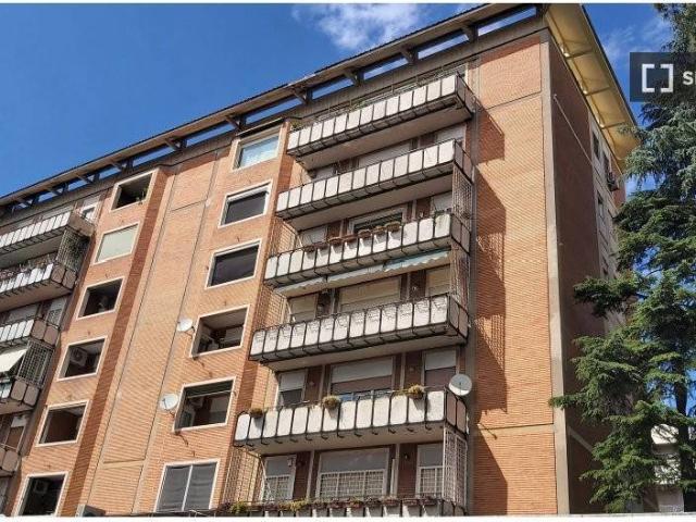 Appartamento in affitto a Roma RM