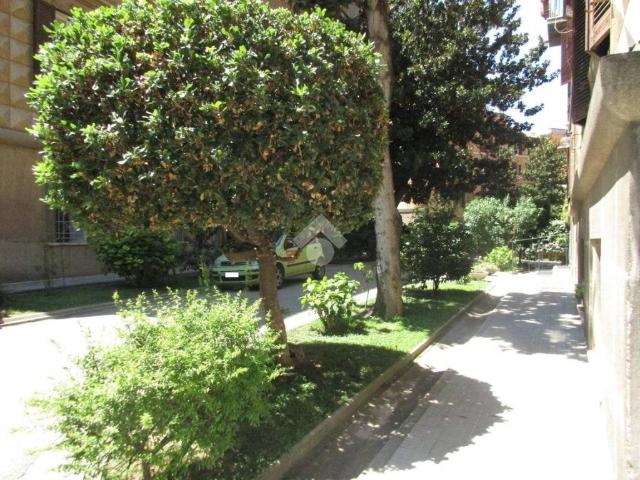 Appartamento in affitto a Roma RM