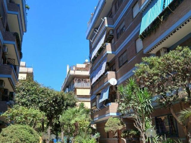 Appartamento in affitto a Roma RM
