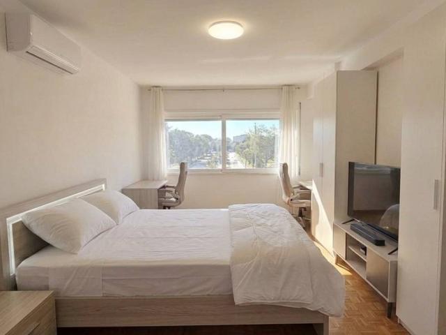 Appartamento in affitto a Roma RM