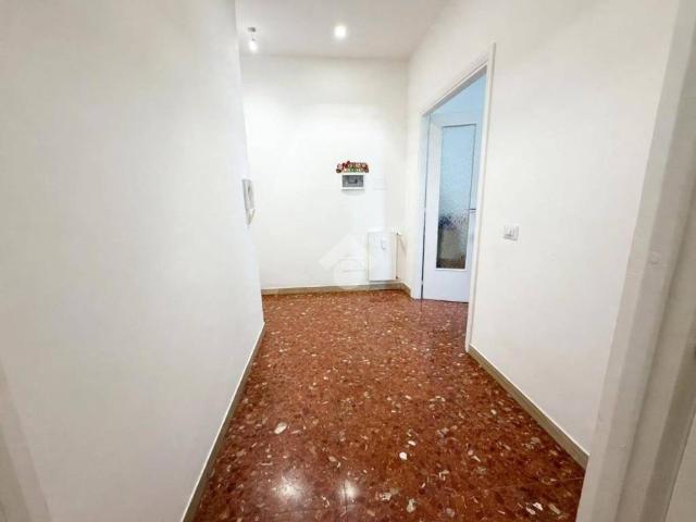 Appartamento in affitto a Roma RM