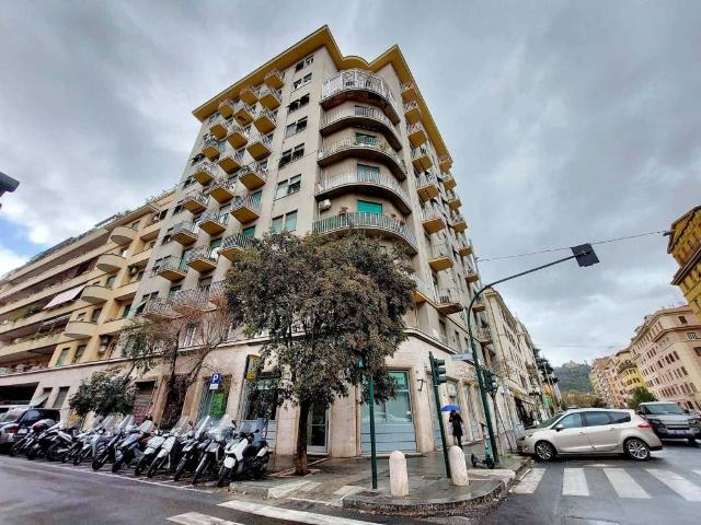 Appartamento in affitto a Roma RM