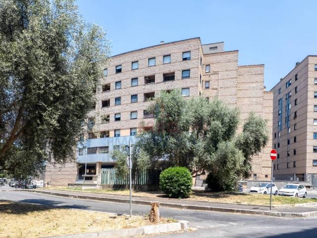 Appartamento in affitto a Roma RM