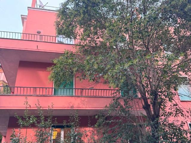 Appartamento in affitto a Roma RM