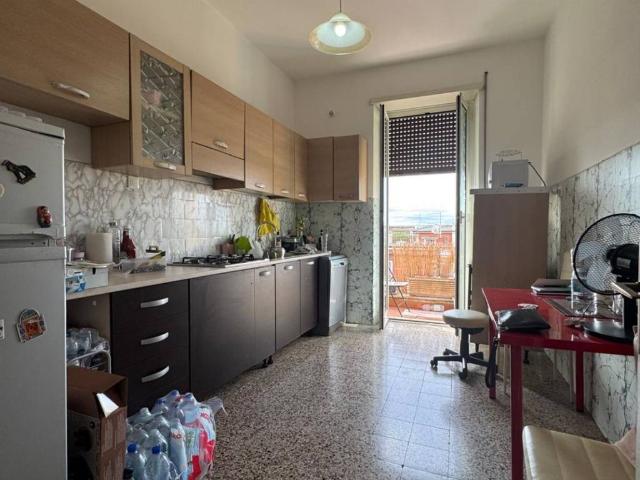 Appartamento in affitto a Roma RM